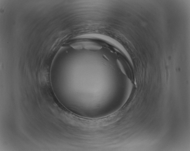 X0000074340035200608251402