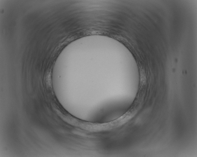 X0000074340036200608251402