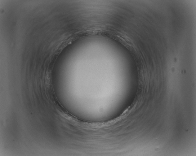 X0000074340037200608251402