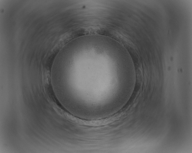 X0000074340038200608251402