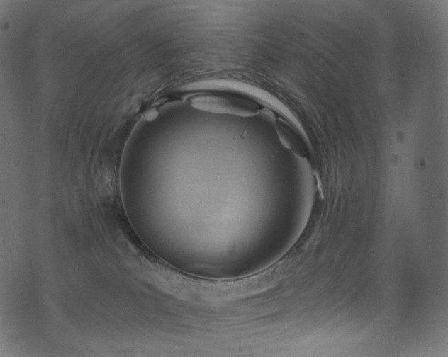 X0000074340039200608251402