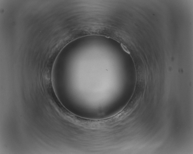 X0000074340040200608251402