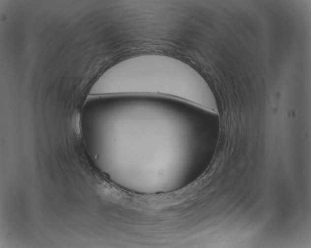 X0000074340041200608251402