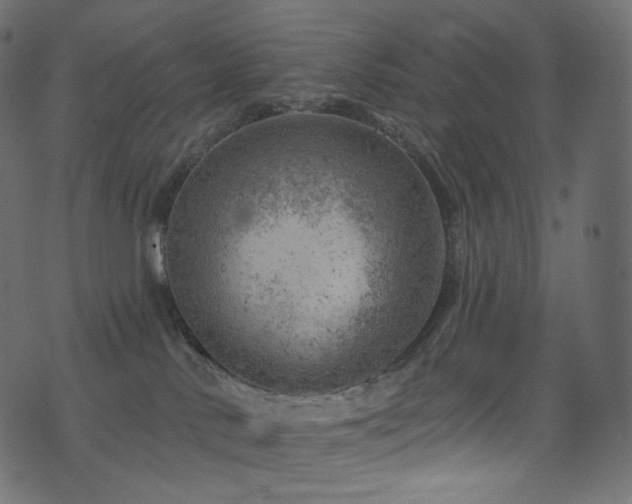 X0000074340042200608251402