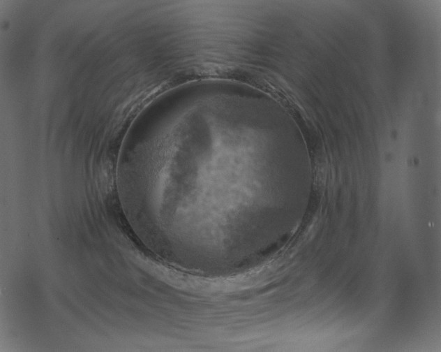 X0000074340043200608251402