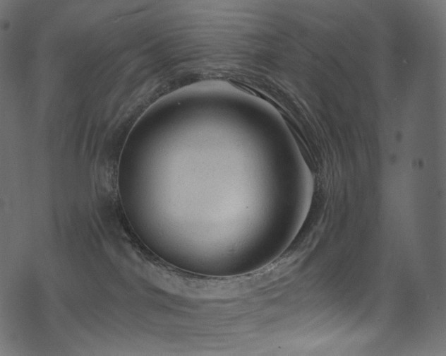 X0000074340044200608251402