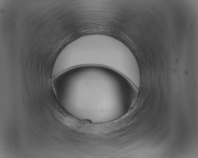 X0000074340045200608251402