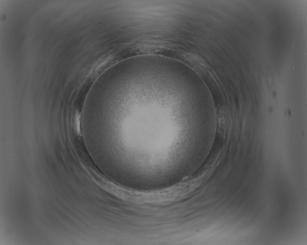 X0000074340046200608251402