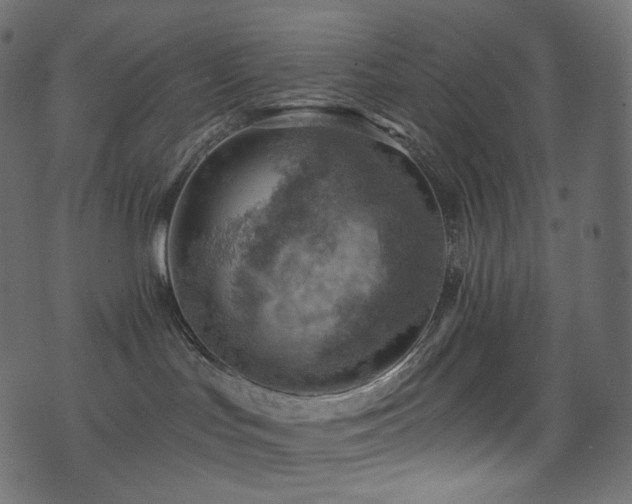 X0000074340047200608251402