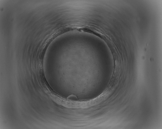 X0000074340048200608251402