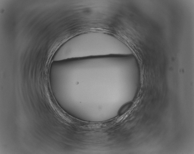 X0000074340049200608251401