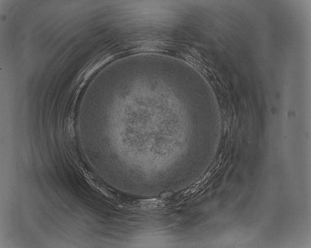 X0000074340050200608251401