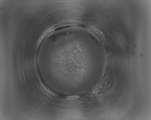 X0000074340051200608251401