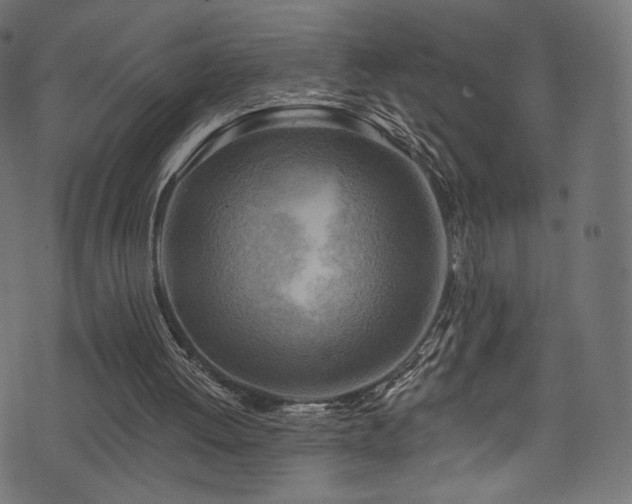 X0000074340052200608251401