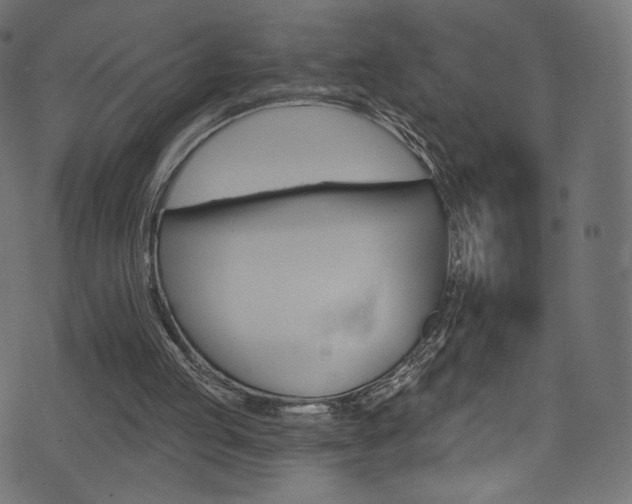 X0000074340053200608251401