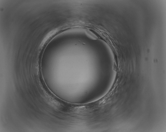 X0000074340054200608251401