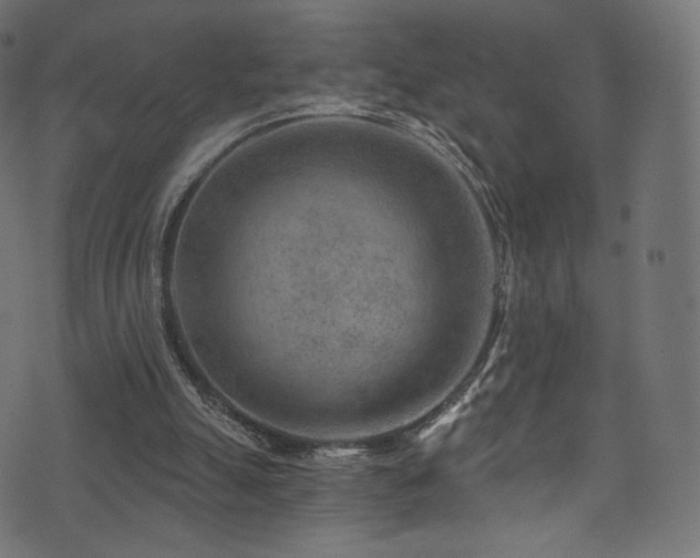 X0000074340055200608251401