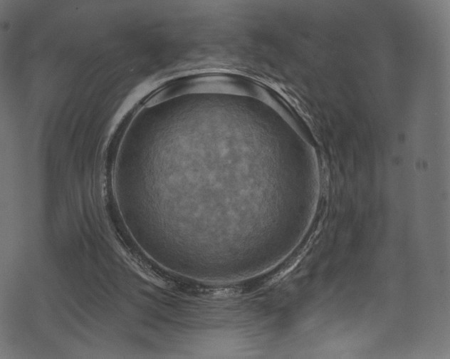 X0000074340056200608251401