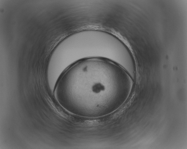 X0000074340057200608251401