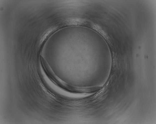 X0000074340058200608251401