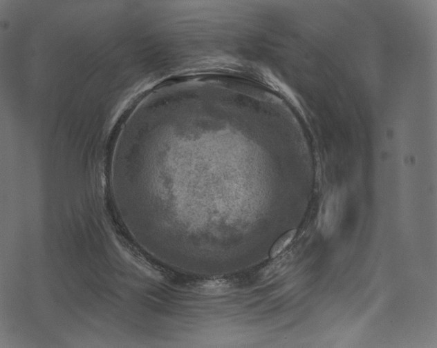 X0000074340059200608251401