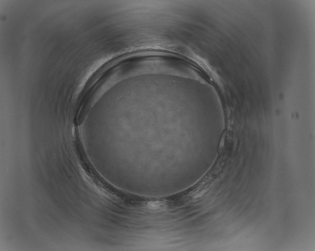 X0000074340060200608251401