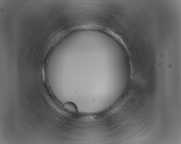 X0000074340061200608251401