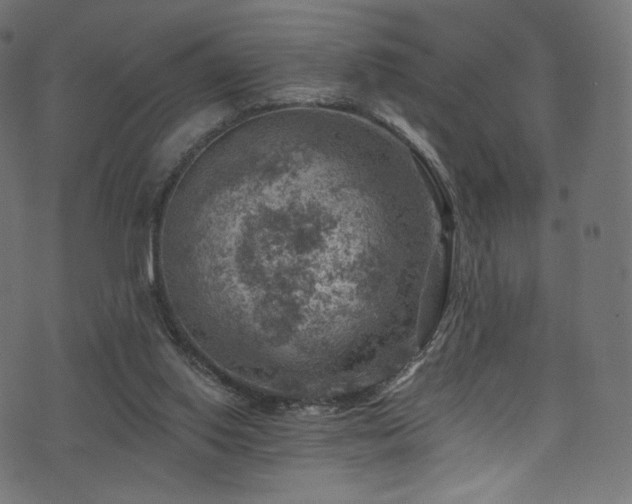 X0000074340062200608251401