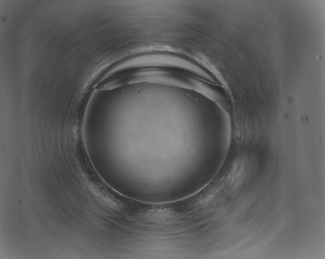 X0000074340063200608251401