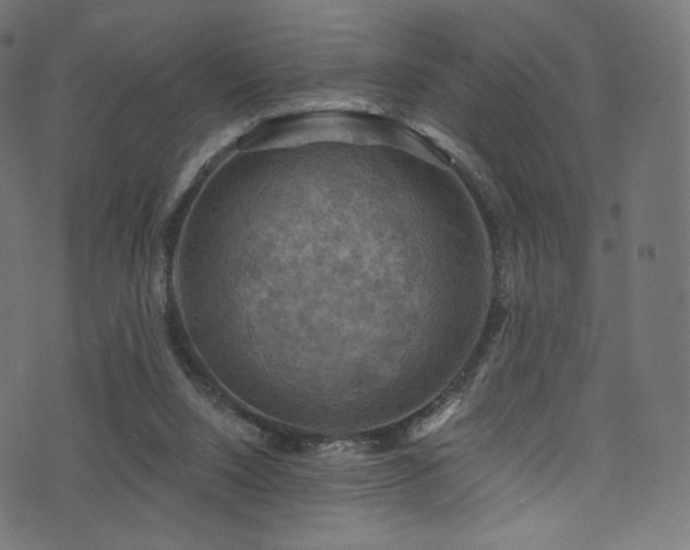 X0000074340064200608251401