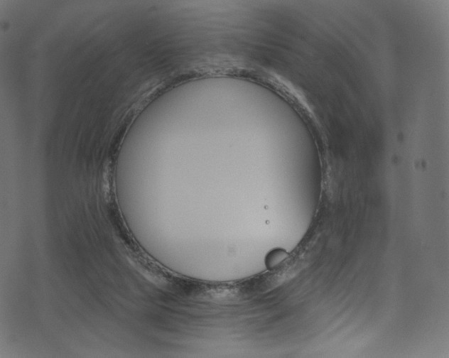 X0000074340065200608251401