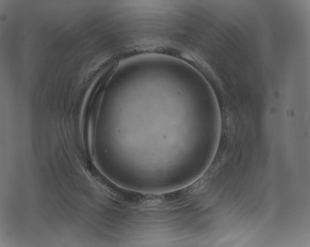 X0000074340066200608251401