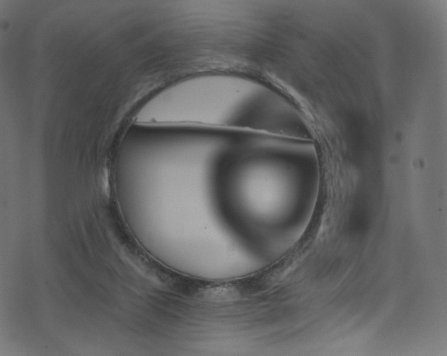 X0000074340067200608251401