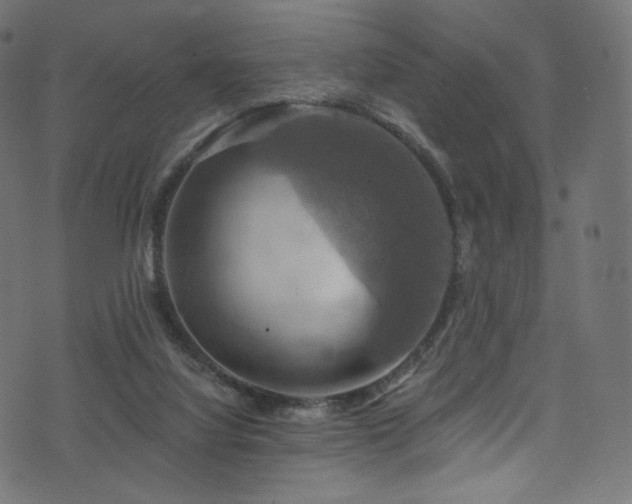 X0000074340068200608251401