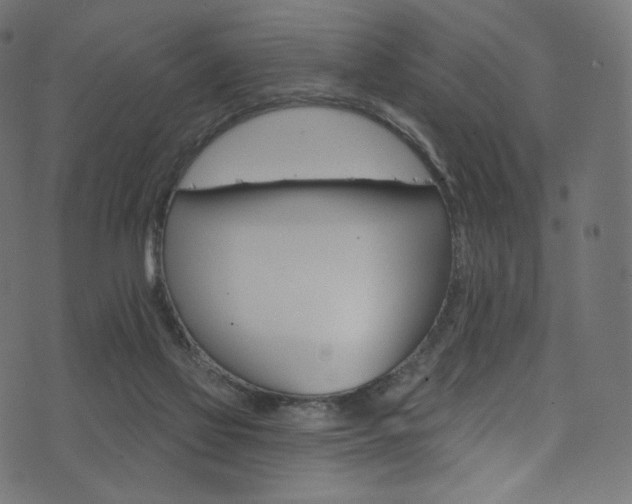 X0000074340069200608251401