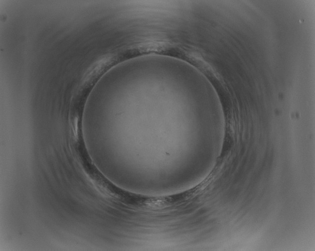 X0000074340070200608251401