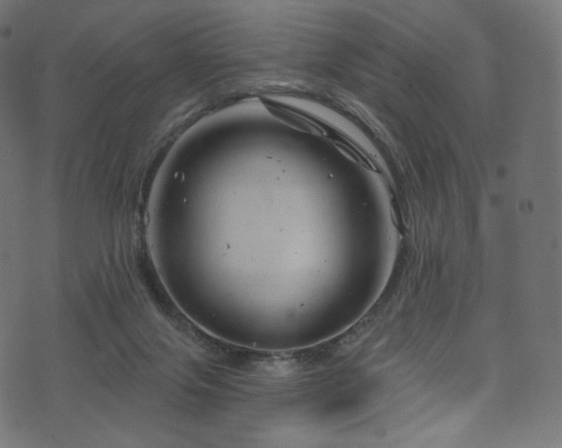 X0000074340071200608251401