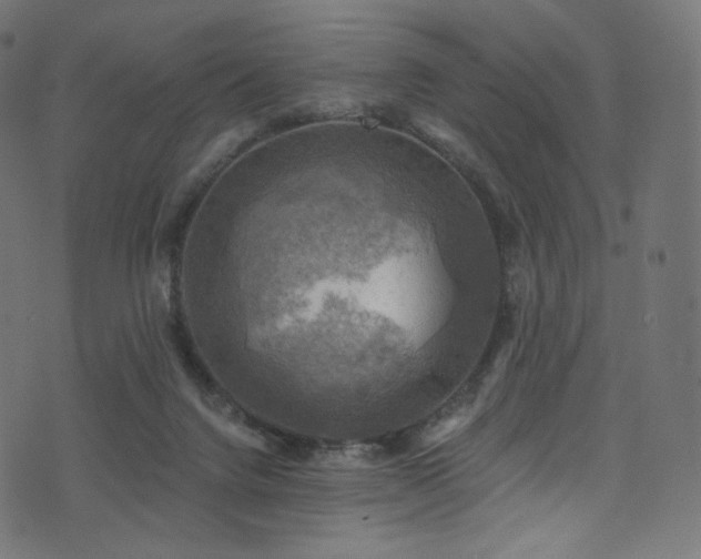 X0000074340072200608251401