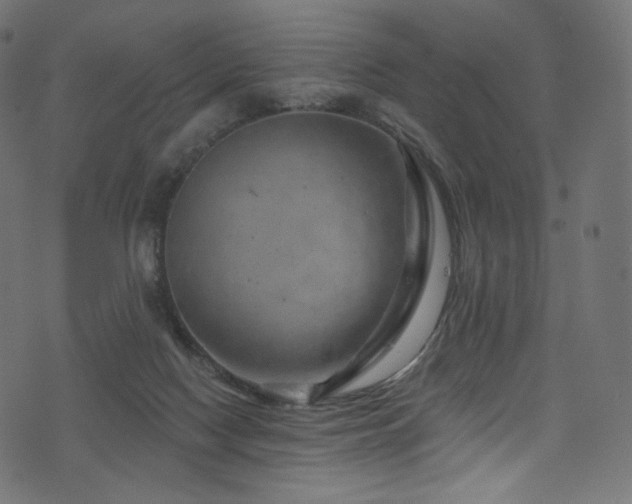 X0000074340074200608251401