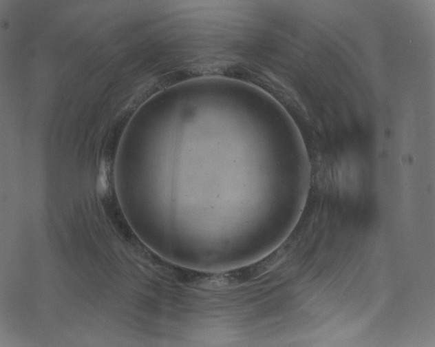 X0000074340075200608251401