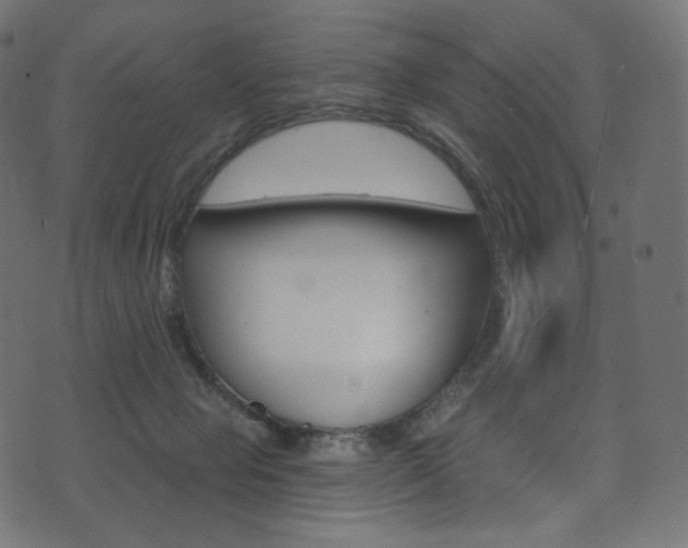 X0000074340077200608251401