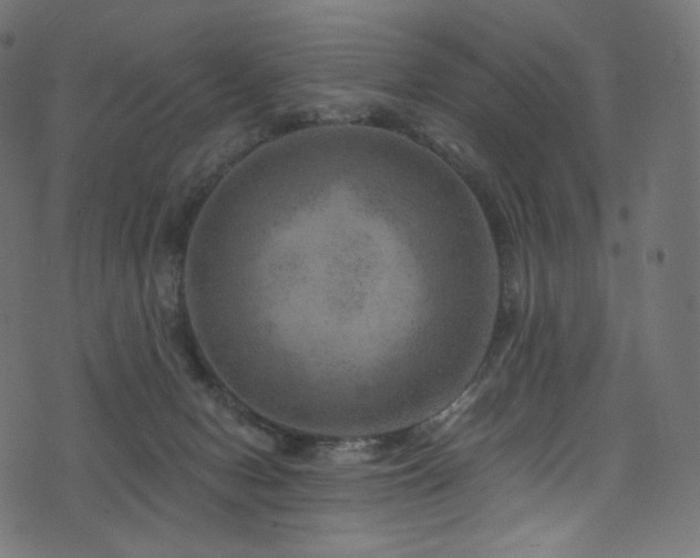 X0000074340078200608251401