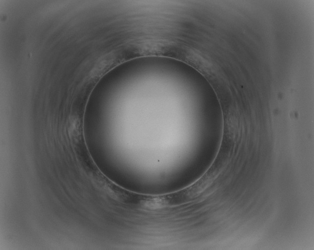 X0000074340079200608251401