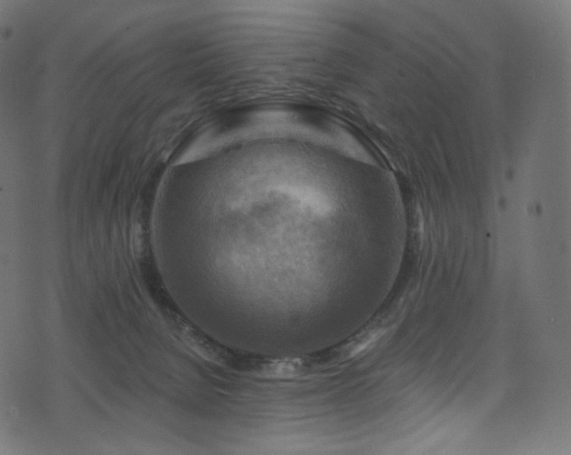 X0000074340080200608251401