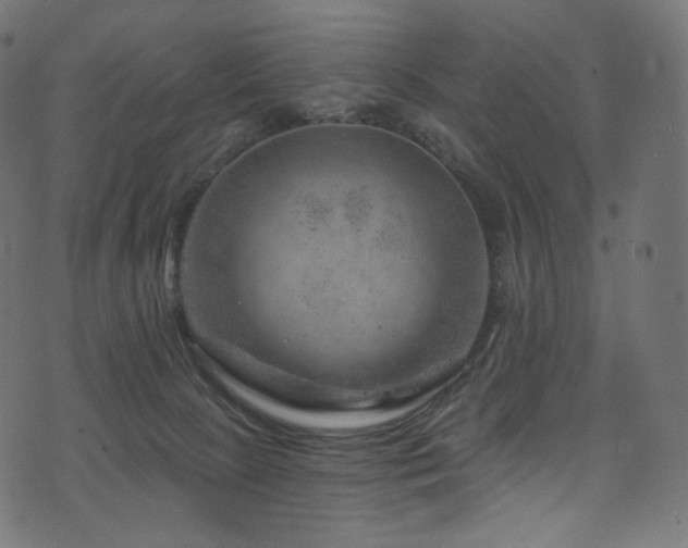 X0000074340081200608251401