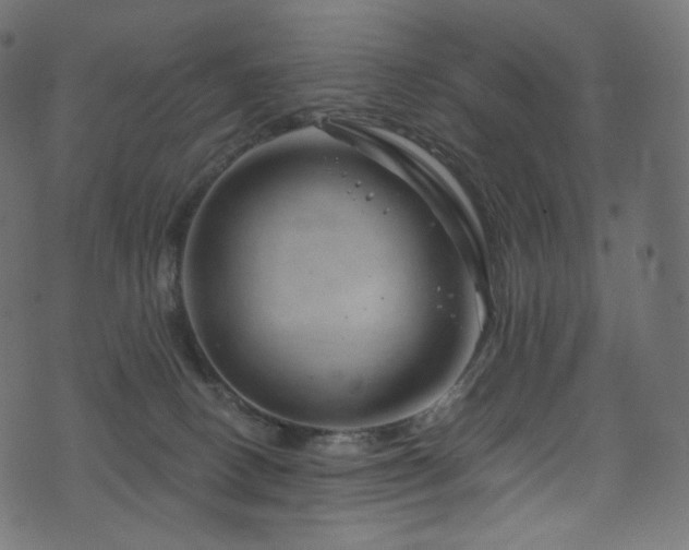 X0000074340082200608251401