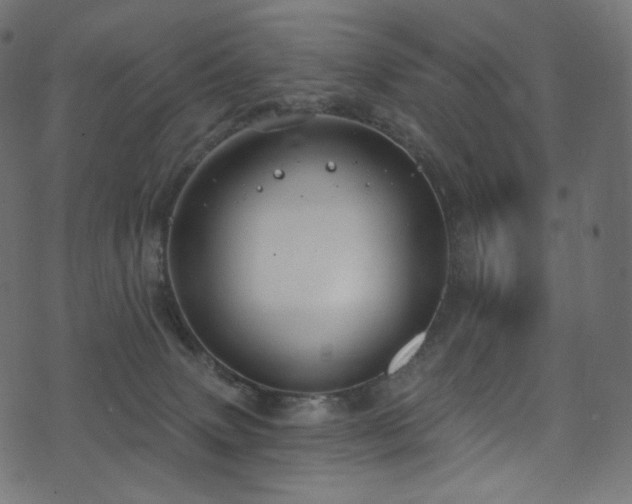 X0000074340083200608251401