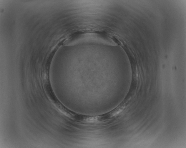 X0000074340084200608251401