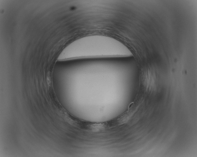 X0000074340085200608251401