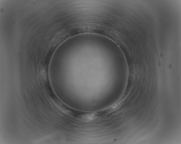 X0000074340086200608251401